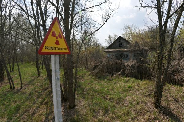 Белорусский сектор зоны отчуждения Чернобыльской АЭС Белорусский сектор зоны отчуждения Чернобыльской АЭС