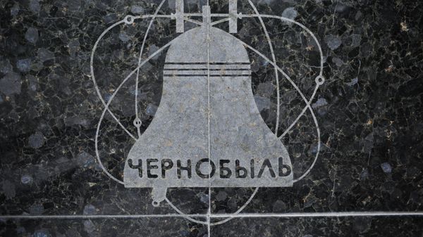 Мероприятия, посвященные 30-летию аварии на ЧАЭС, прошли в Макеевке Донецкой области