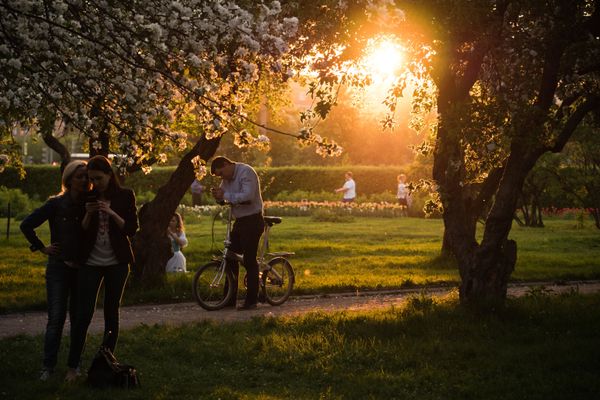 Отдых москвичей в музее-заповеднике Коломенское Отдых москвичей в музее-заповеднике Коломенское