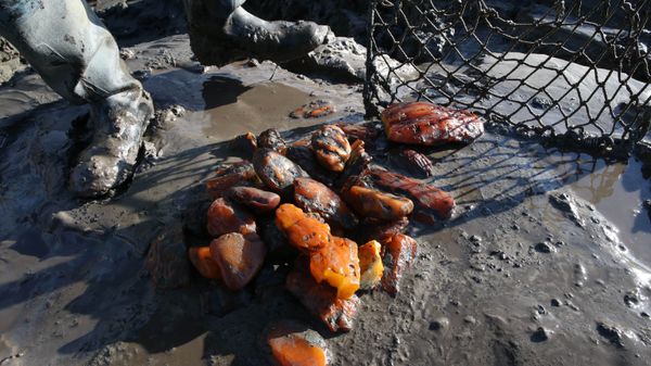 Предприятие Янтарный комбинат в Калининградской области