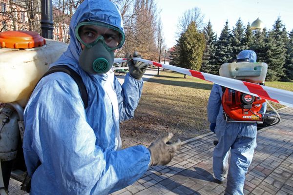 Противоклещевая обработка парков Калининграда