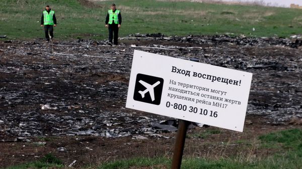Эксперты из Нидерландов и Малайзии посетили место крушения Боинга в Донецкой области