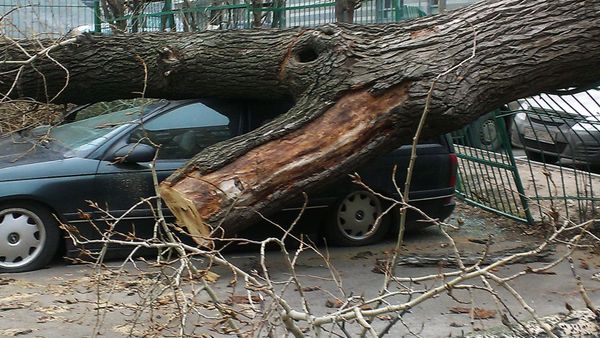 Ураган в Москве