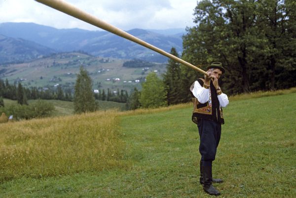 Турбаза в Закарпатье Турбаза в Закарпатье