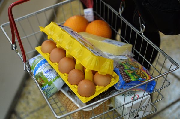 Продажа куриных яиц в регионах России