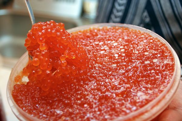Красная икра