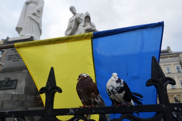 Ситуация на Украине