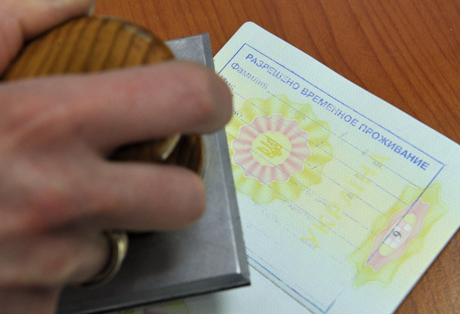 Выдача видов на жительство и разрешений на временное проживание - РИА Новости, 1920, 24.01.2017