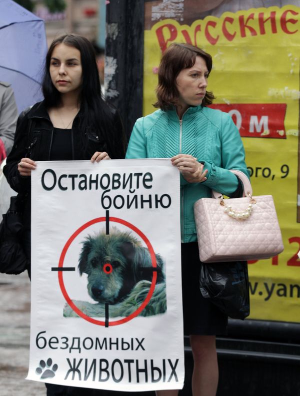 Митинг Россия без жестокости в Санкт-Петербурге Митинг Россия без жестокости в Санкт-Петербурге