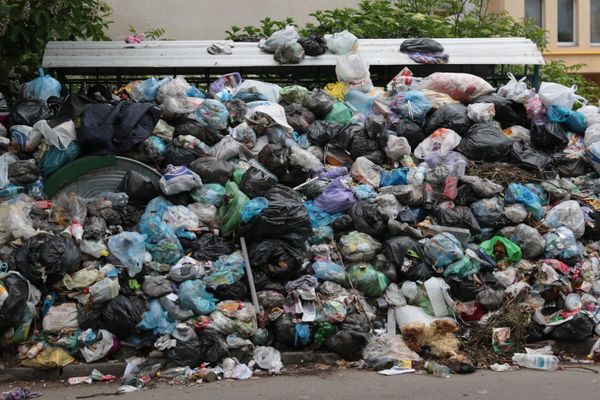 Проблема утилизации мусора во Львове