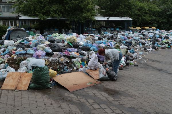 Проблема утилизации мусора во Львове