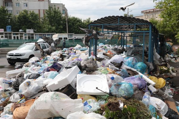 Проблема утилизации мусора во Львове