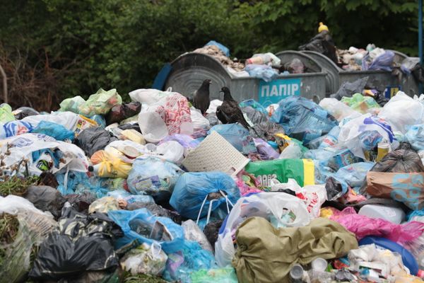 Проблема утилизации мусора во Львове Проблема утилизации мусора во Львове
