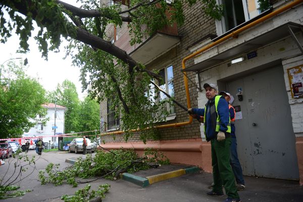 Ликвидация последствий урагана в Москве