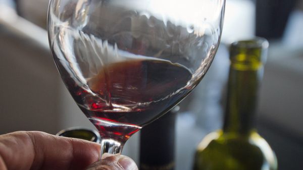 Винный фестиваль In Vino Veritas в Коктебеле