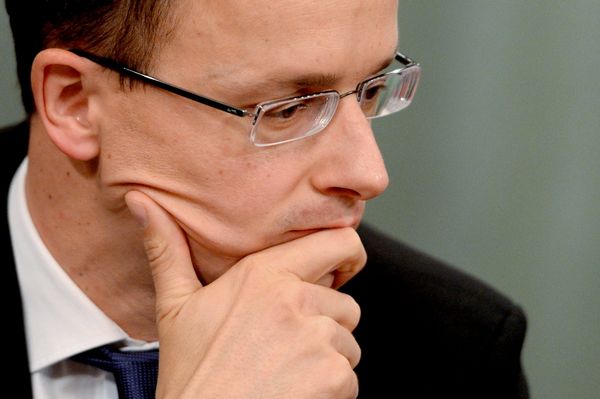 Встреча глав МИД России и Венгрии Сергея Лаврова и Петера Сиярто