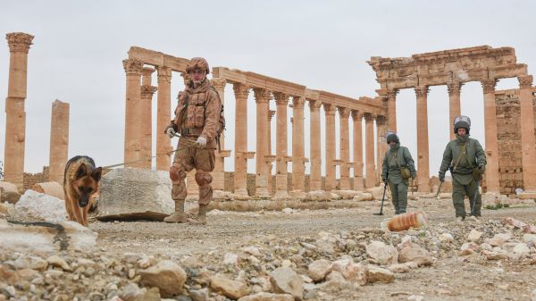 Российские саперы разминируют историческую Пальмиру и жилые кварталы