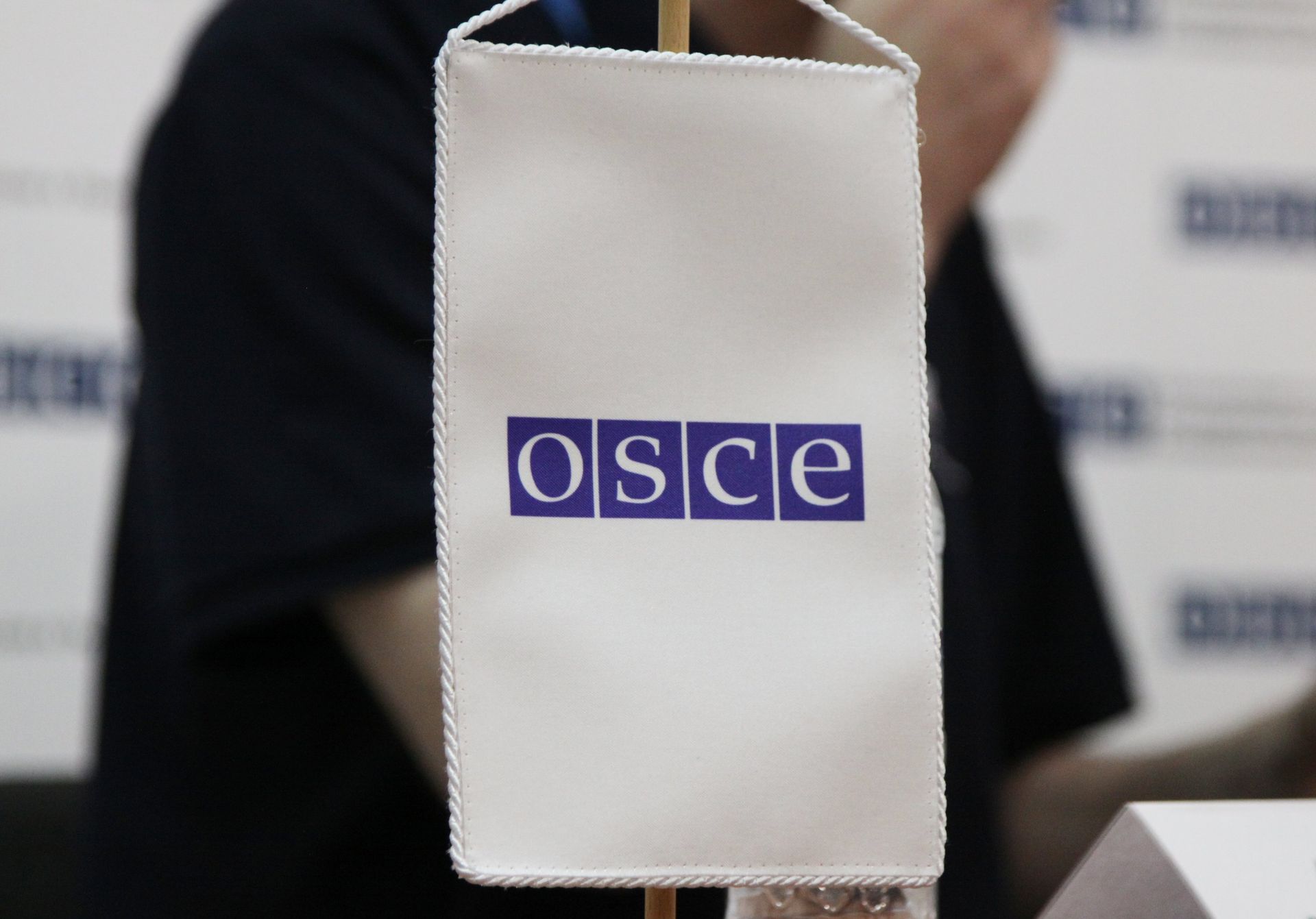 Логотип Организации по безопасности и сотрудничеству в Европе Логотип Организации по безопасности и сотрудничеству в Европе - РИА Новости, 1920, 25.08.2021