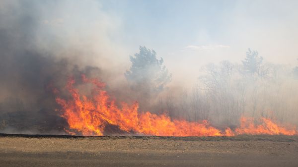 Пожары в Амурской области Пожары в Амурской области