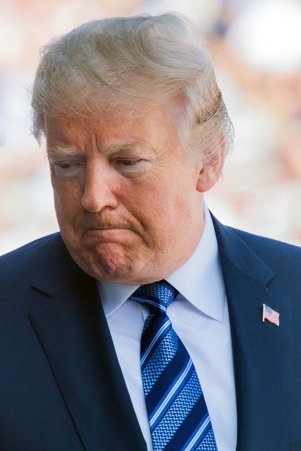 Дональд Трамп Дональд Трамп
