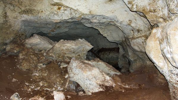 В Крыму обнаружили уникальную пещеру, где на протяжении пятидесяти тысяч лет хранились останки доисторических животных. И, как выяснилось, это – не единственное открытие, которое сделали археологи, спелеологи и историки во время строительства трассы «Таврида» В Крыму обнаружили уникальную пещеру, где на протяжении пятидесяти тысяч лет хранились останки доисторических животных. И, как выяснилось, это – не единственное открытие, которое сделали археологи, спелеологи и историки во время строительства трассы «Таврида»