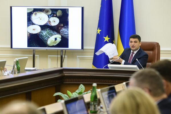 Гройсман лес