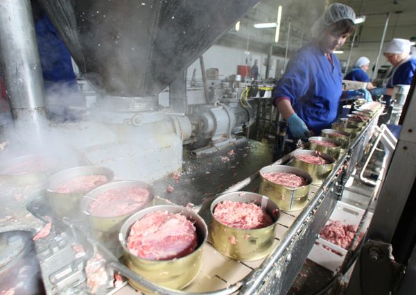 Производство мясных консервов в Калининградской области Производство мясных консервов в Калининградской области