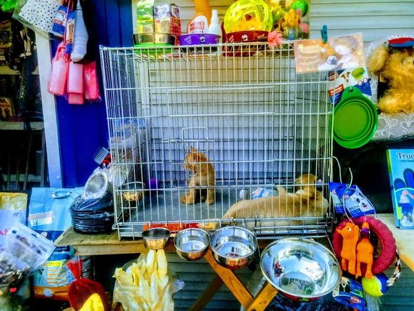 Куреневка Куреневка