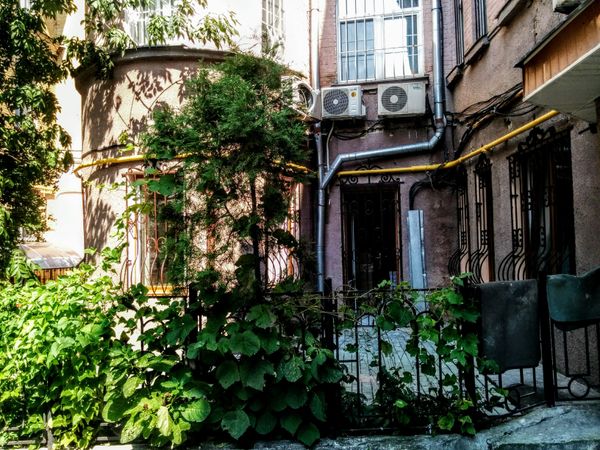 Киев дворы архитектура жители автомобиль Киев дворы архитектура жители автомобиль