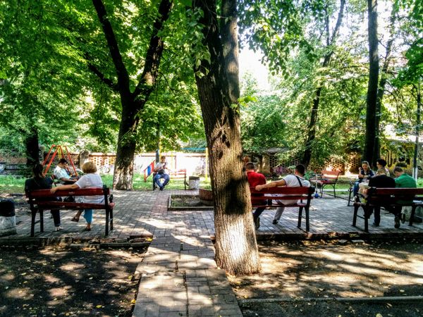 Киев дворы архитектура жители Киев дворы архитектура жители
