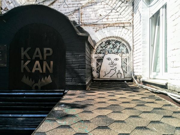Киев дворы архитектура кафе граффити котик Киев дворы архитектура кафе граффити котик