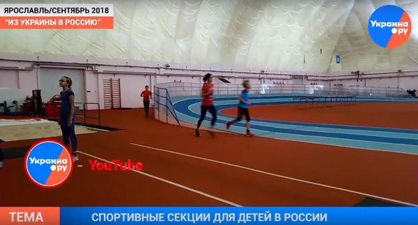 Семья Пикты