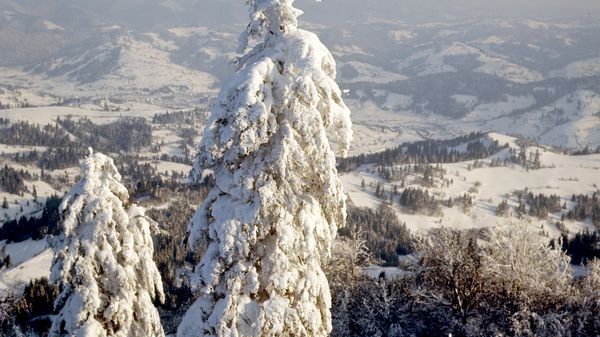 Карпаты снег