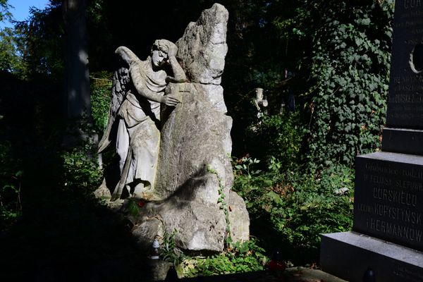Лычаковское кладбище во Львове Лычаковское кладбище во Львове