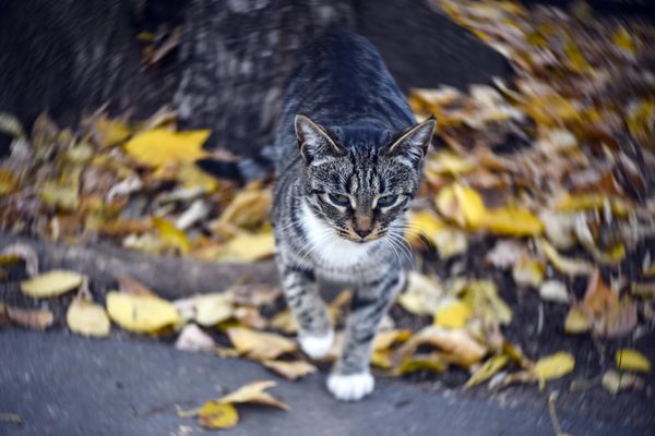 Осень в Москве
