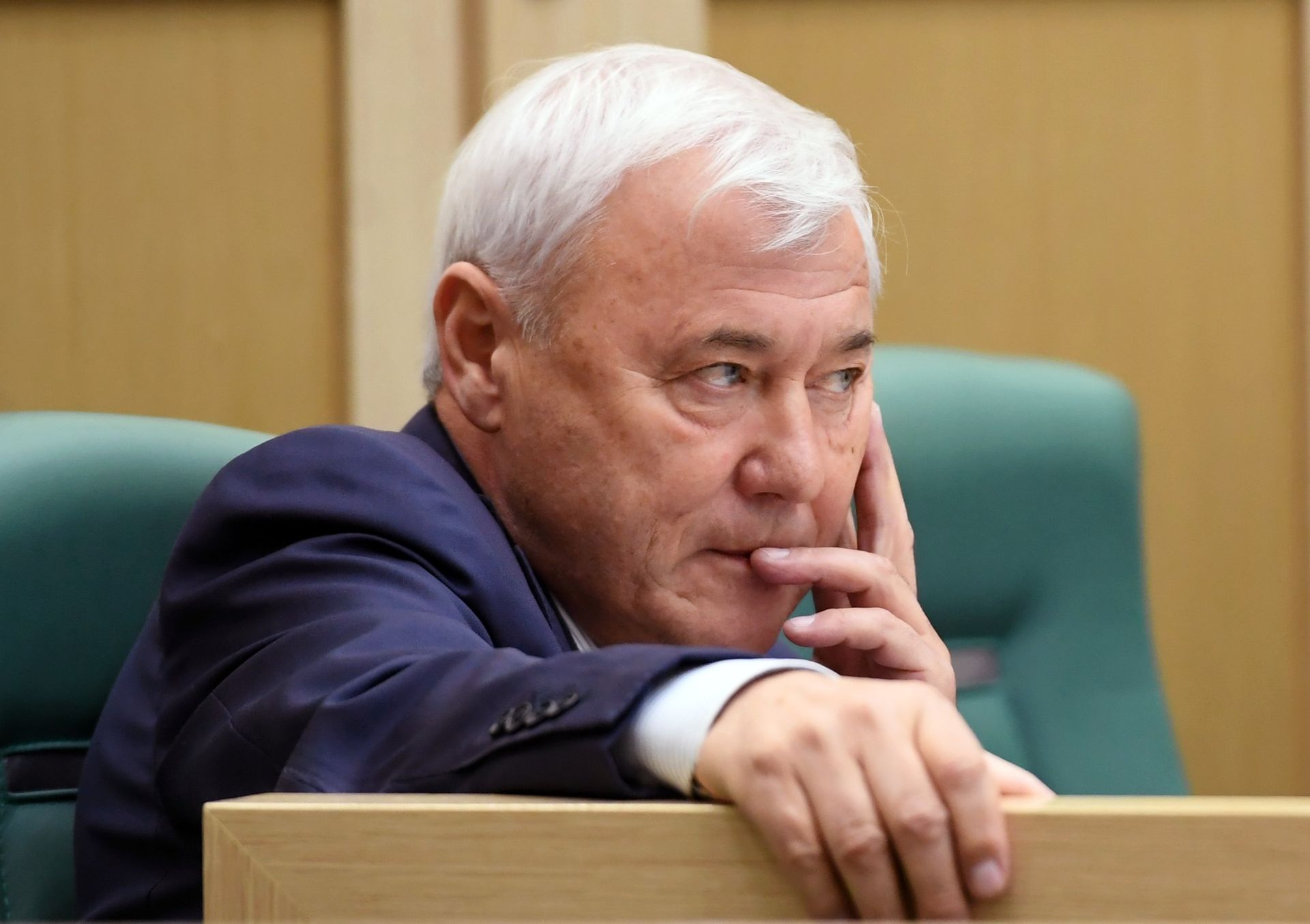 Парламентские слушания в Совете Федерации - РИА Новости, 1920, 26.04.2022