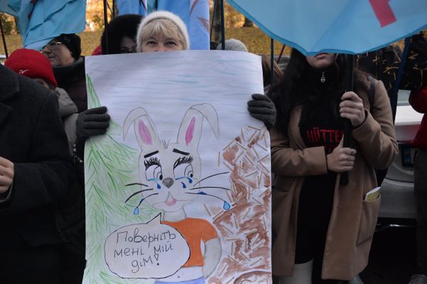 Митинг против вырубки леса Митинг против вырубки леса