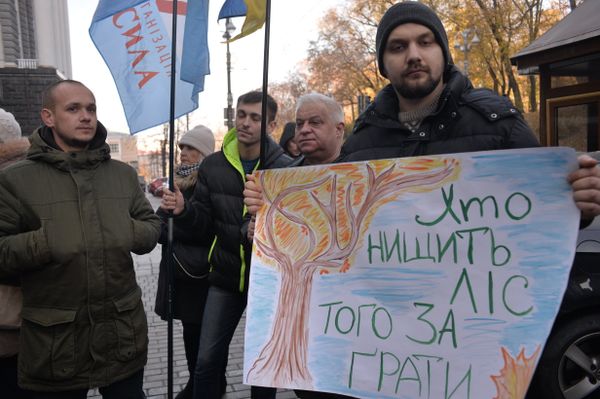 Митинг против вырубки леса Митинг против вырубки леса