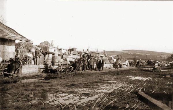 Депортация украинцев из Польши в 1946 году Депортация украинцев из Польши в 1946 году