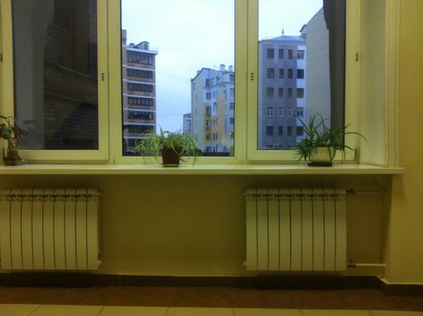 окно батарея радиатор отопление цветы