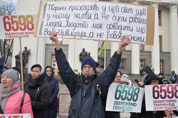 Митинг за права животных в Киеве