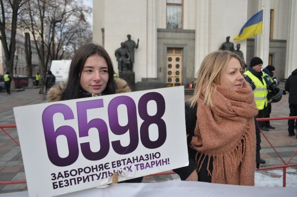 Митинг за права животных в Киеве