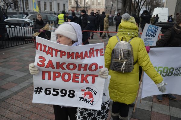 Митинг за права животных в Киеве