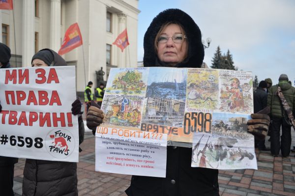 Митинг за права животных в Киеве