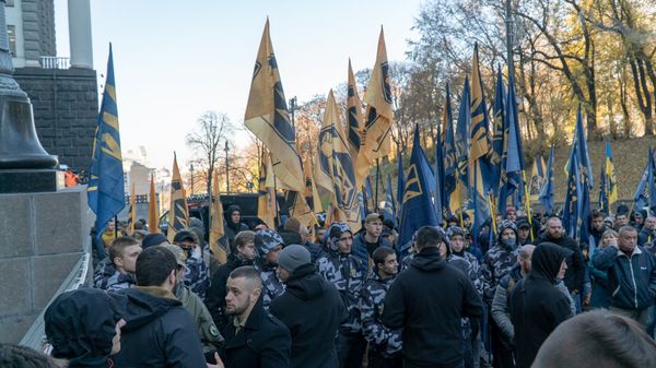 Национальный корпус националисты рада флаг