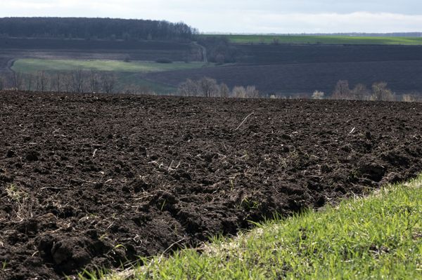 Вспаханное поле в Украине Вспаханное поле в Украине