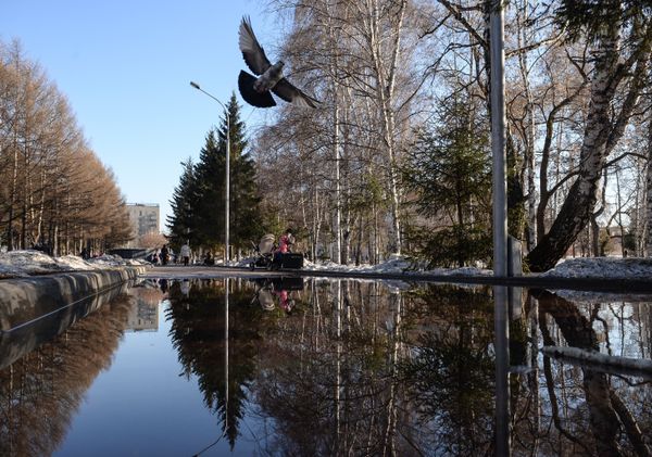 Весна в Новосибирске