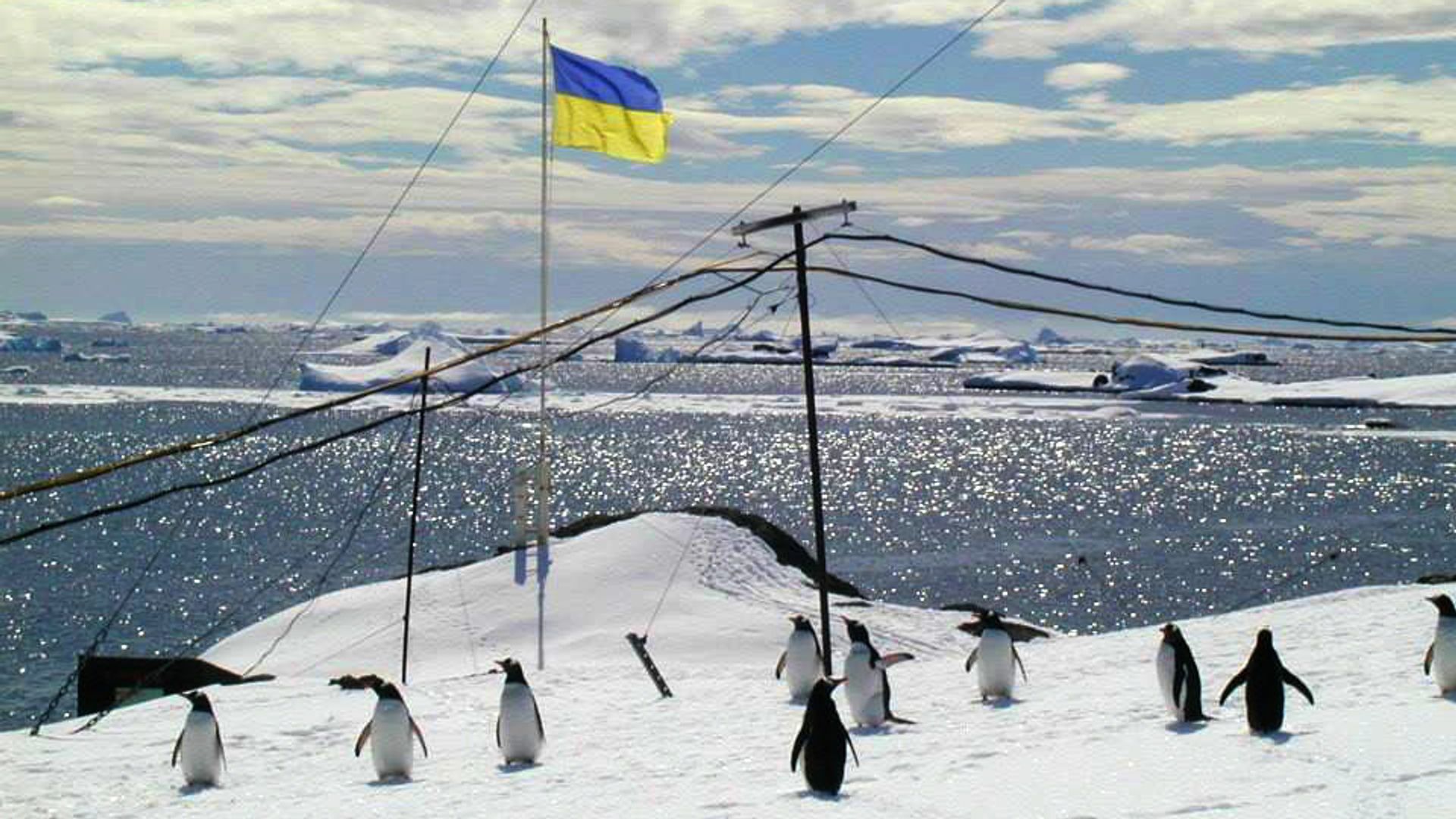 Антарктида украина флаг пингвины Антарктида украина флаг пингвины - РИА Новости, 1920, 25.10.2020