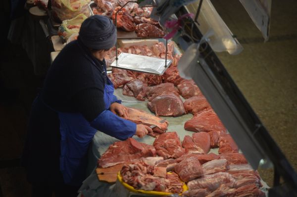 Рынок мясо продукты Киев продажа