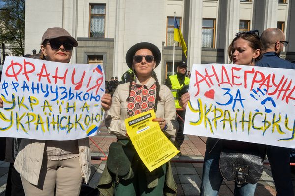 Митинг языковой закон язык мова